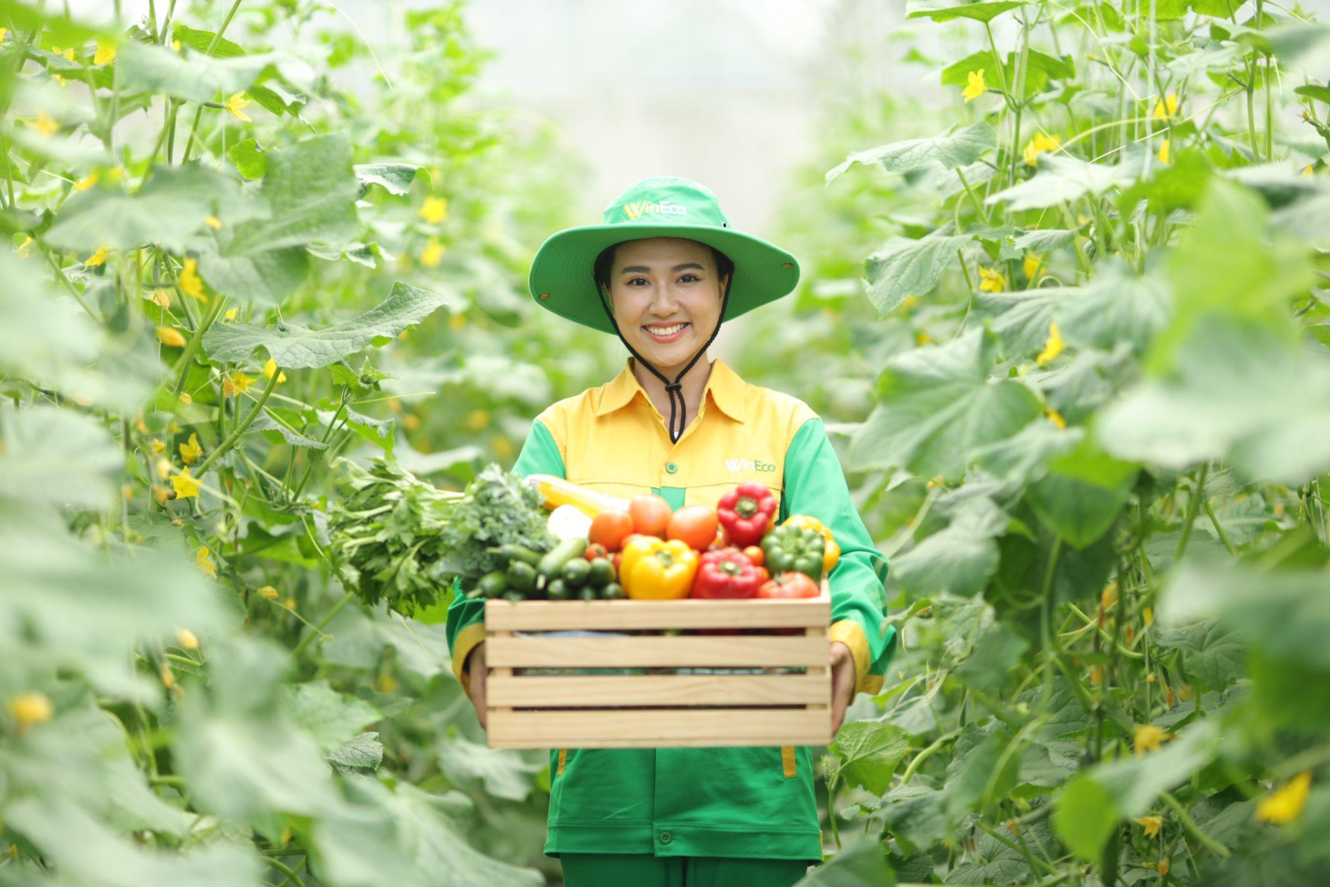 Những vụ mùa rau, củ, quả bội thu đang trong quá trình thu hoạch và được lên kế hoạch xuất khẩu cho những thị trường quốc tế trong thời gian sắp tới - Ảnh H.Q