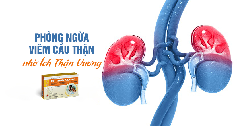 Phòng ngừa viêm cầu thận nhờ dùng Ích Thận Vương