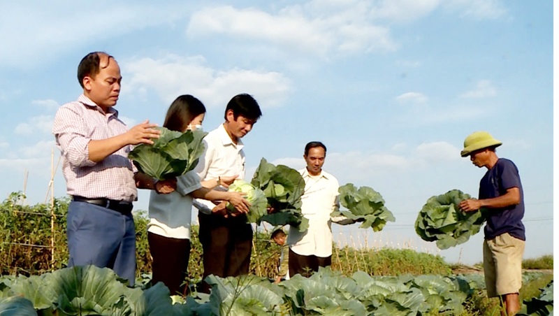 Mô hình nông nghiệp sạch của Hợp tác xã sản xuất rau củ quả nông sản an toàn thôn Liên Ấp, xã Việt Đoàn (huyện Tiên Du).