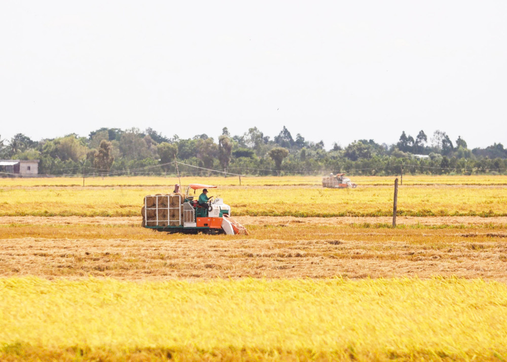 Phát triển nông nghiệp ứng dụng công nghệ cao gắn với tái cơ cấu ngành Nông nghiệp giai đoạn 2021-2025