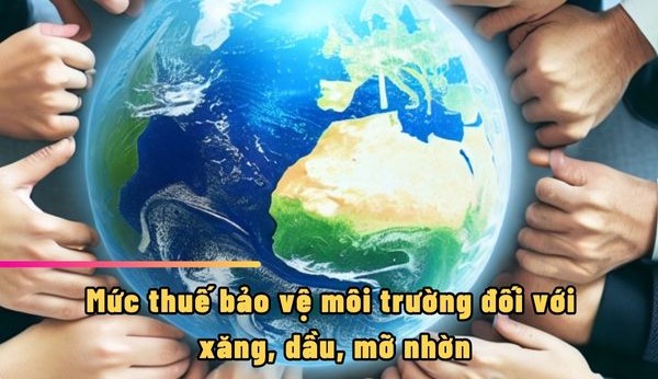 Các mức thuế bảo vệ môi trường đối với xăng, dầu, mỡ nhờn có hiệu lực từ ngày 1/1/2025