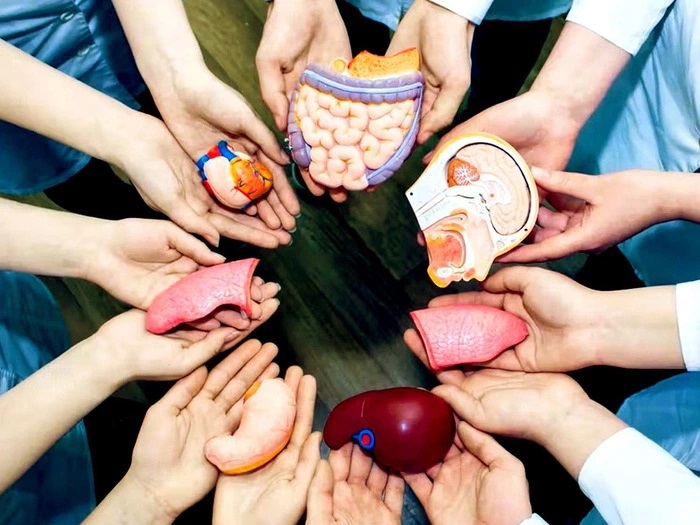 Bộ Y tế đề xuất Chính phủ lấy ngày 20/5 là Ngày Hiến tạng quốc gia