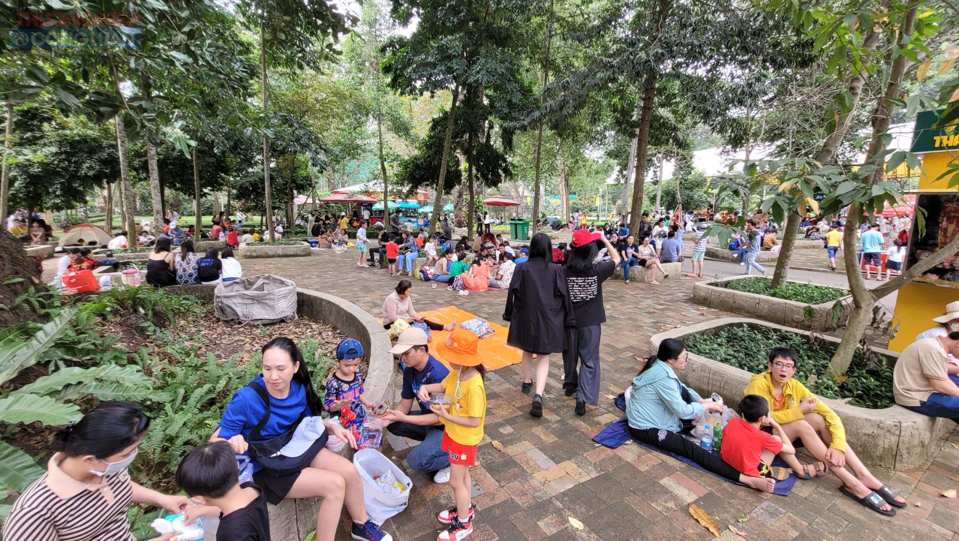 Thảo Cầm Viên Sài Gòn có nhiều cổ thụ phủ bóng mát, nên nơi đây trở thành điểm để khách ăn uống, trò chuyện, nghỉ ngơi