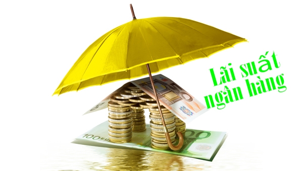 Lãi suất ngân hàng hôm nay 2/1/2025: Thị trường lãi suất sôi động