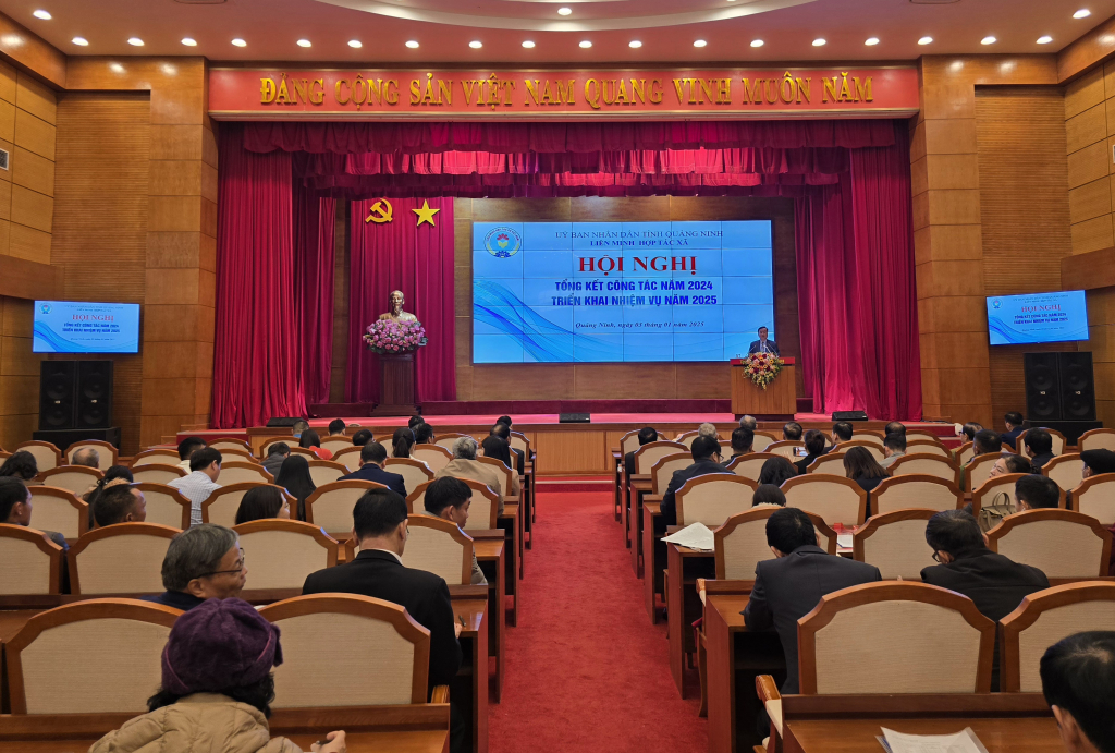 Quảng Ninh: Phấn đấu thành lập mới 60 HTX trong năm 2025