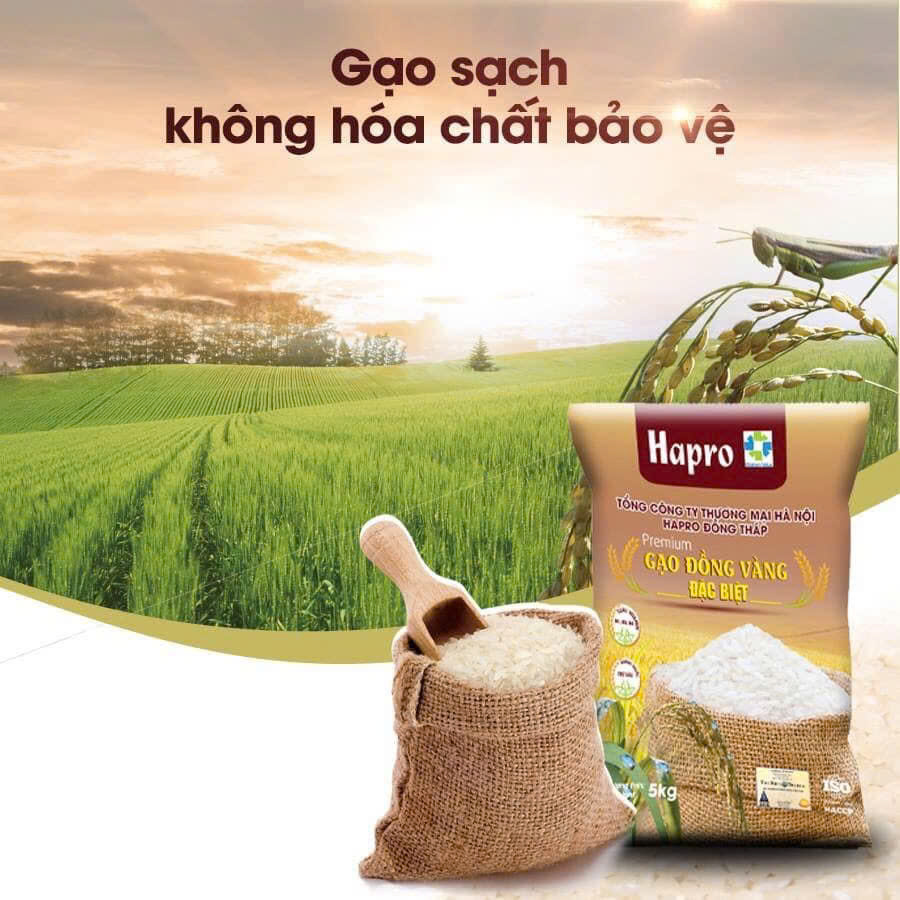 Gạo Đồng Vàng