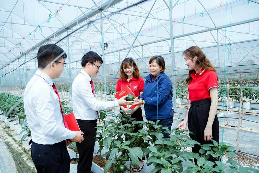 Gói vay ưu đãi về “Tín dụng xanh” khuyến khích khách hàng đâu tư vào phát triển nông nghiệp công nghệ cao