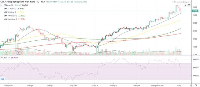 Cổ phiếu BAF bật tăng 52,4% từ đầu tháng 9/2024 tới nay