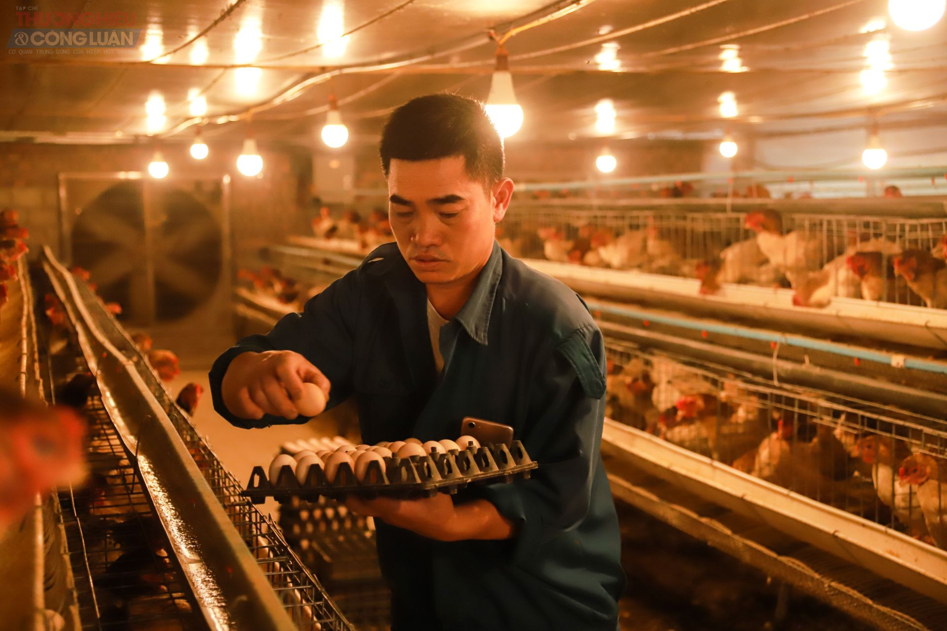 Ông Lê Văn Hiền (xã Đông Tảo, huyện Khoái Châu, tỉnh Hưng Yên) đang làm việc tại trang trại chăn nuôi của gia đình