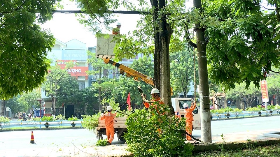 Phát quang hành lang an toàn lưới điện dịp Tết Ất Tỵ