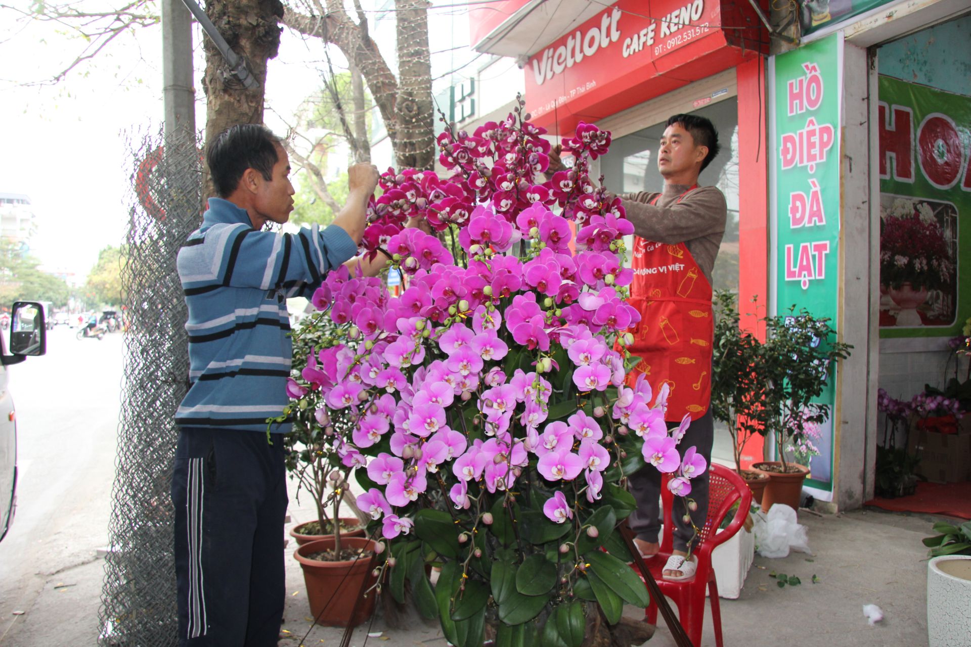 Riêng tháng cuối năm Cửa hàng hoa lan Long Dũng tạo việc làm cho 20 – 30 nhân công từ cắm hoa, bán hàng và vận chuyển