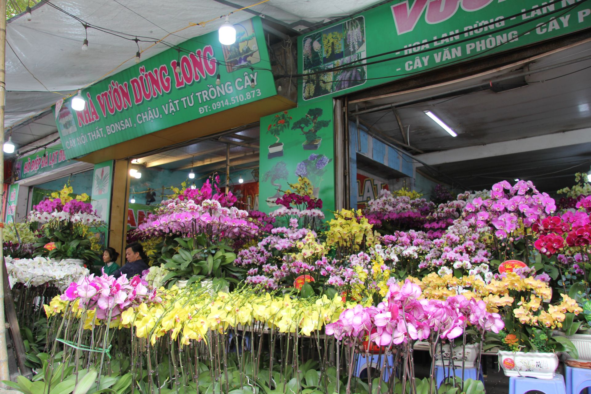 Cửa hàng hoa lan Dũng Long nhìn từ ngoài – Hàng nghìn giò hoa lan với đa dạng các dòng hoa lan và màu mắc khoe sắc rực rỡ