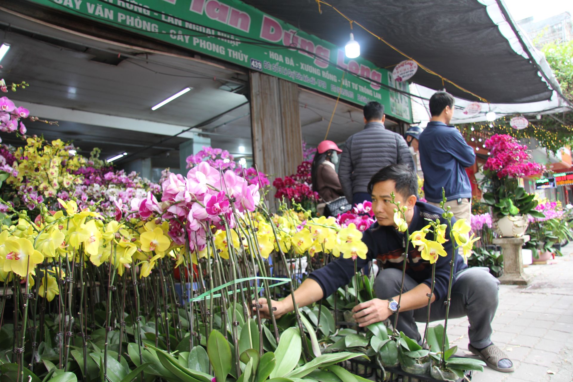 Anh Trần Sách Dũng, Cửa hàng Hoa lan Long Dũng tỉ mỉ lựa chọn từng giò hoa lan cho khách hàng