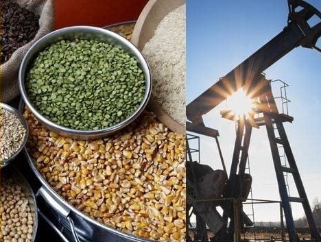 Hôm nay, nhóm năng lượng dẫn dắt xu hướng khởi sắc toàn thị trường với 5 mặt hàng đồng loạt tăng