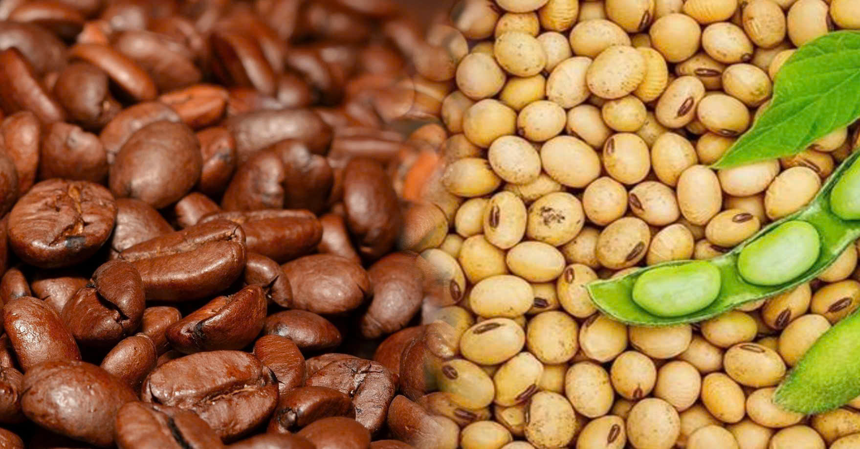 Chỉ số MXV-Index còn 2.305 điểm; 7 mặt hàng đồng loạt giảm giá từ 1 đến 2,7%