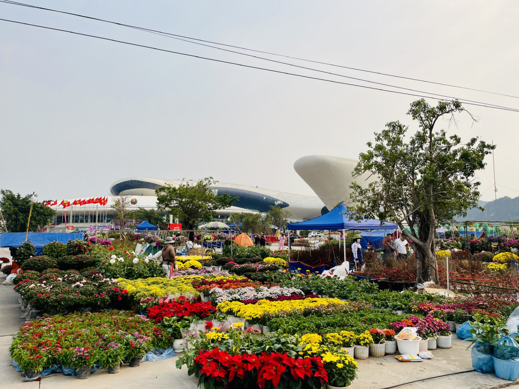 Thành phố Hạ Long: Tổ chức 8 điểm chợ hoa xuân phục vụ Tết Ất Tỵ 2025