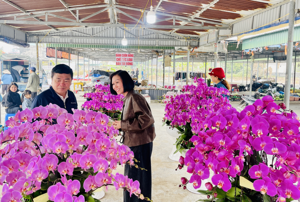 Người dân lựa chọn hoa lan tại chợ hoa xuân xã Lê Lợi. Người dân lựa chọn hoa lan tại chợ hoa xuân xã Lê Lợi.