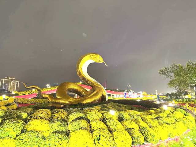 Đà Nẵng rộn ràng không khí xuân