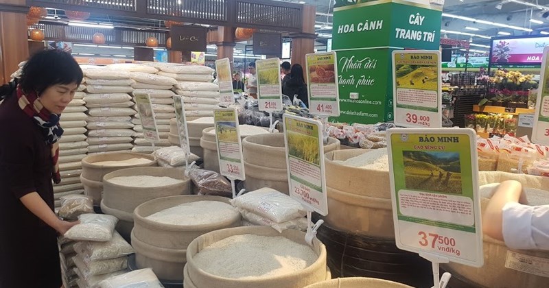 Giá lúa gạo hôm nay ngày 20/1: Giá gạo nguyên liệu quay đầu giảm. (Ảnh minh họa) Giá lúa gạo hôm nay ngày 20/1: Giá gạo nguyên liệu quay đầu giảm. (Ảnh minh họa)