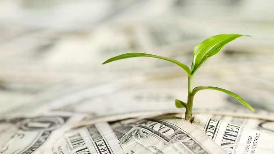 Ảnh internet. Ảnh internet.