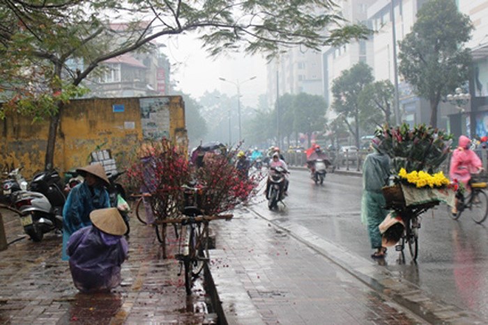 Ảnh minh họa, nguồn internet. Ảnh minh họa, nguồn internet.