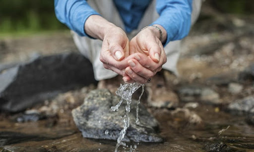 Ảnh internet. Ảnh internet.