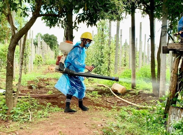 Tăng cường chỉ đạo phòng-chống dịch bệnh dịp Tết Nguyên Đán năm 2025