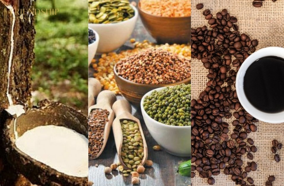 Chỉ số MXV-Index tăng 0,17% lên trên mức 2.312 điểm; giá đậu tương, ca cao tăng