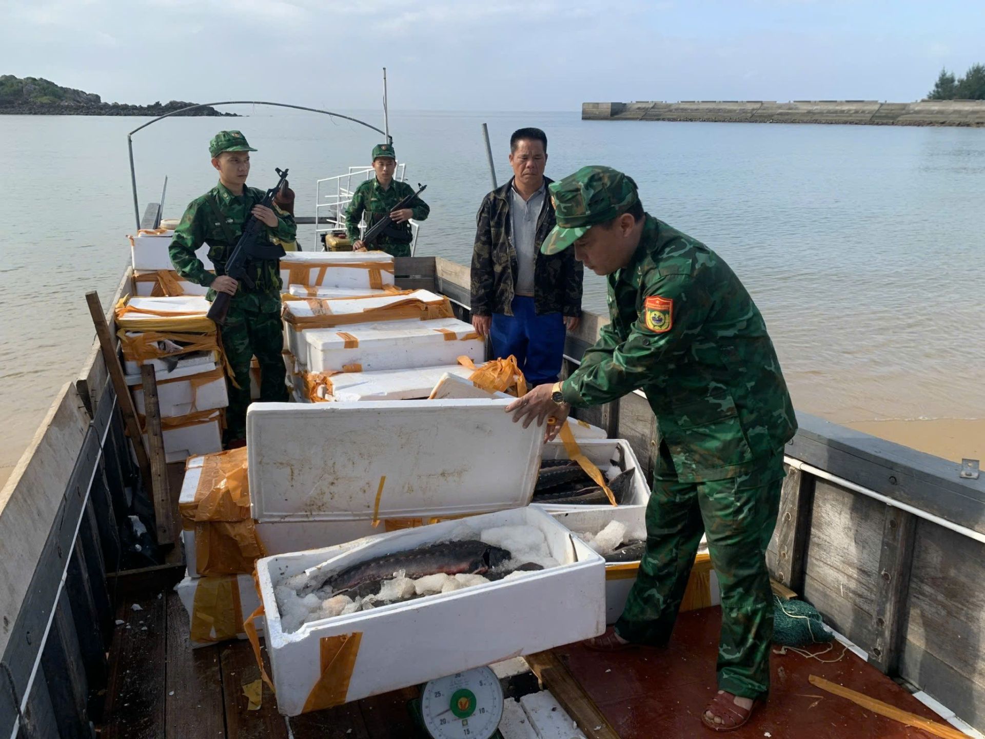 Bắt giữ các vụ vận chuyển thủy hải sản lậu qua vùng biển Bắt giữ các vụ vận chuyển thủy hải sản lậu qua vùng biển
