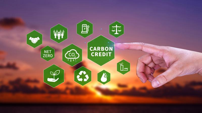 Phát triển thị trường các-bon tại Việt Nam hướng tới đạt mức phát thải ròng bằng "0" vào năm 2050