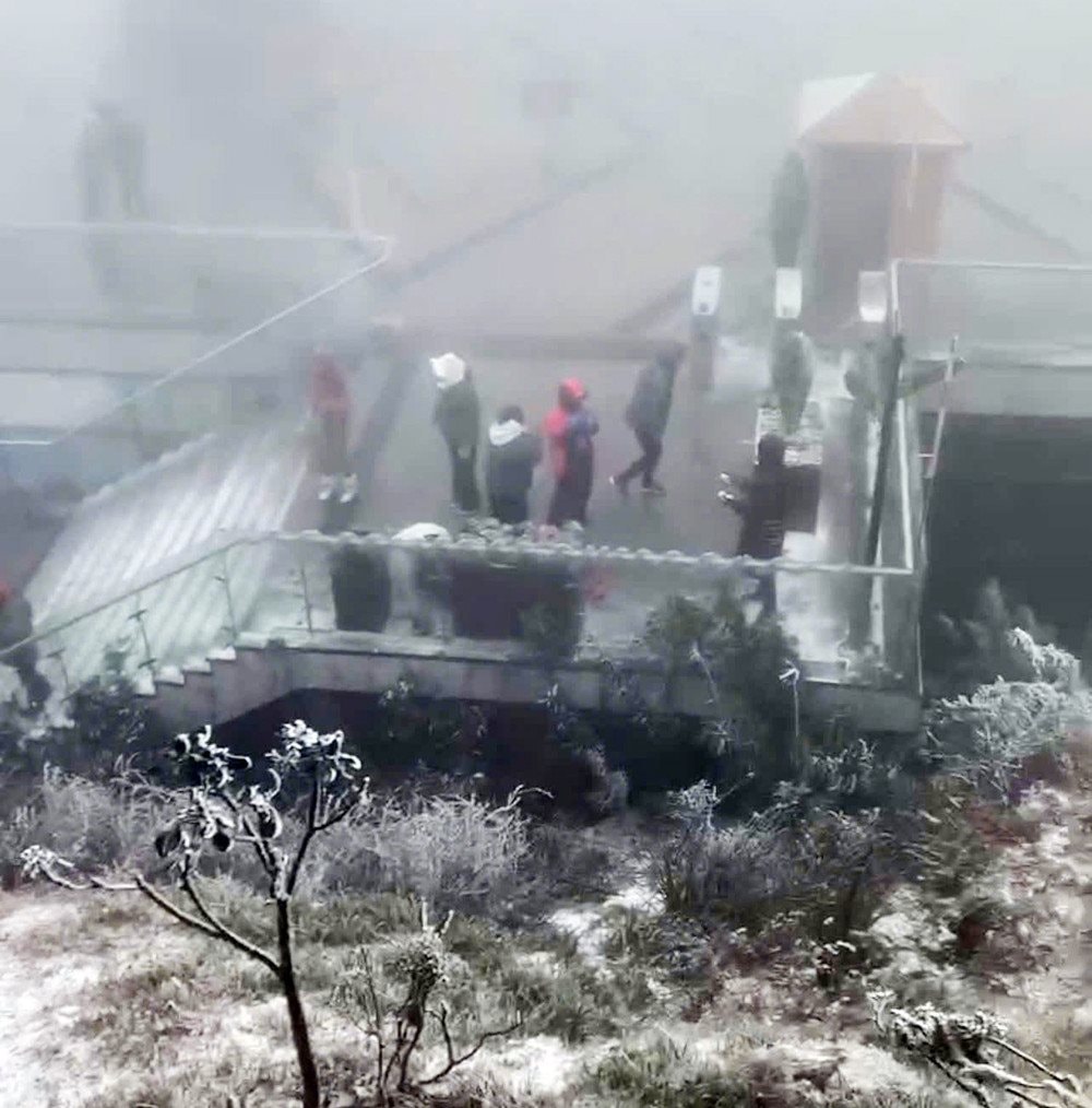 Nhiều du khách đến du lịch tại Sa Pa vào ngày 26/1 đã được ngắm tuyết rơi.