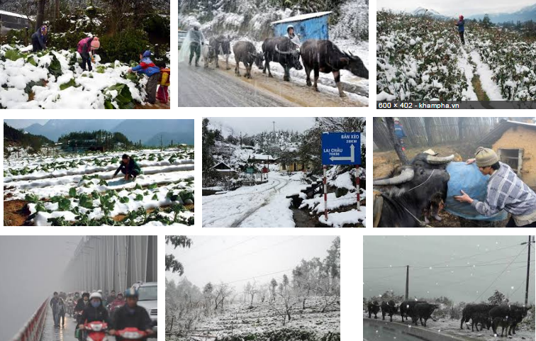 Công điện về việc chủ động phòng, chống rét đậm, rét hại kéo dài. Ảnh internet. Công điện về việc chủ động phòng, chống rét đậm, rét hại kéo dài. Ảnh internet.