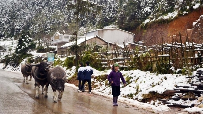 Ảnh internet. Ảnh internet.