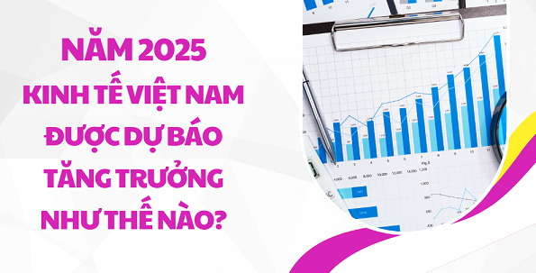 Kinh tế Việt Nam năm 2025 như thế nào dưới góc nhìn của chuyên gia? Ảnh minh họa, nguồn internet.