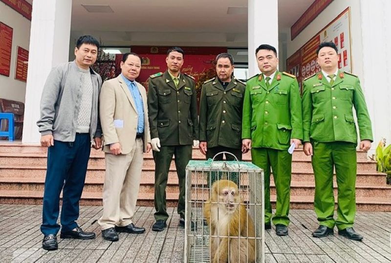 Công an phường Thạch Trung bàn giao cá thể khỉ vàng cho Đội Kiểm lâm cơ động và PCCCR Hà Tĩnh.