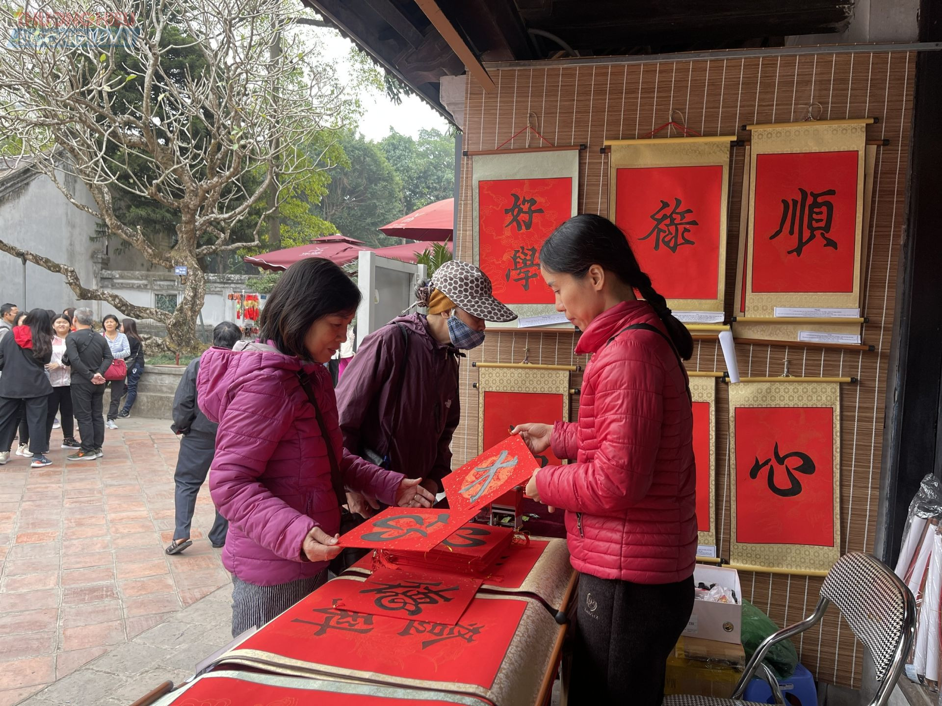 Khuôn viên Văn Miếu - Quốc Tử Giám nhộn nhịp các hoạt động, du khách tới xin chữ tấp nập.