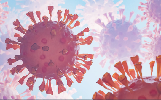 Bộ Y tế yêu cầu các địa phương tăng cường phòng chống dịch bệnh cúm, sởi