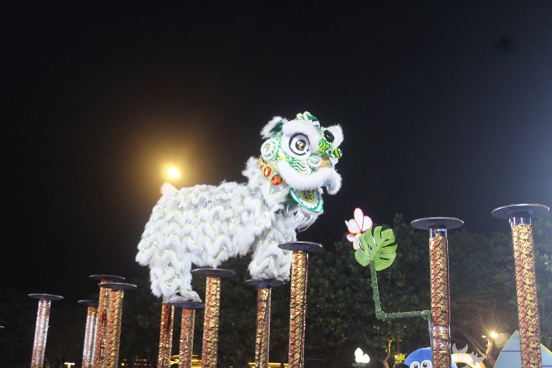 Hình ảnh chú Lân trên mai hoa thung và chong chóng tre của Đội Long Nhi Đường