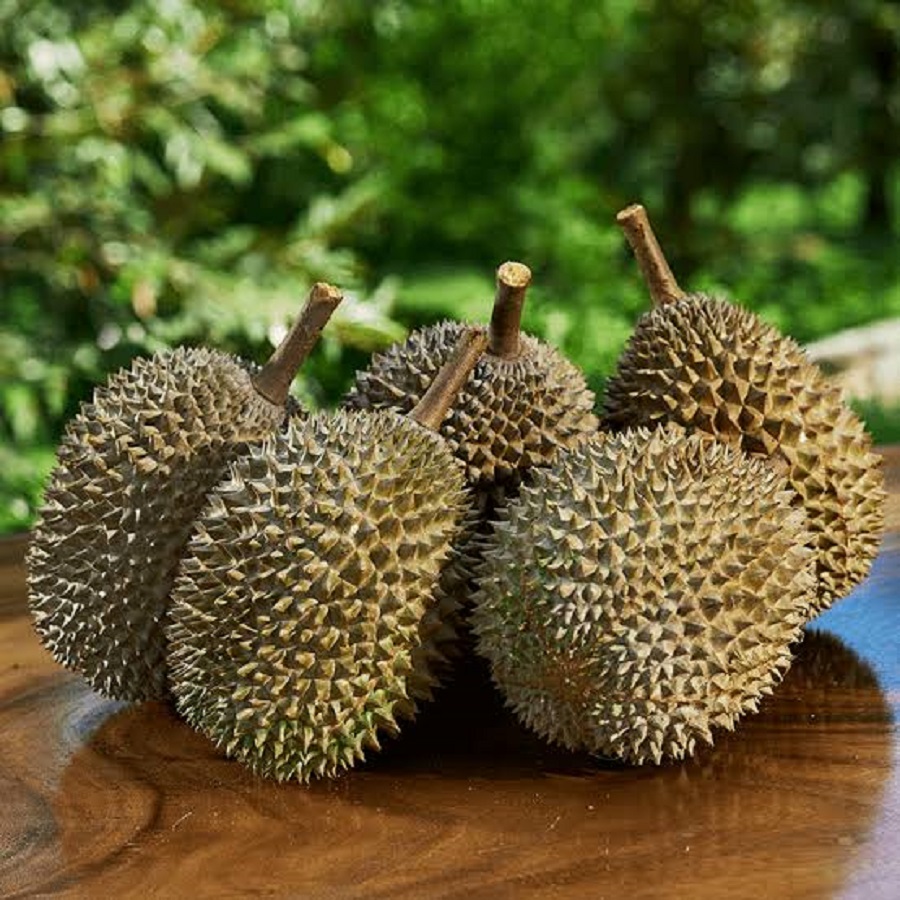 Một số kho đã thu mua trở lại sầu riêng Sáu Hữu, sầu riêng Black Thorn và Musang King.