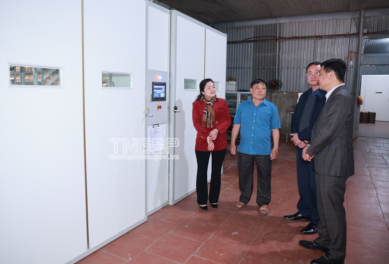 Nông dân Nguyễn Văn Đường (áo xanh) trò chuyện với lãnh đạo huyện Phú Bình về việc ứng dụng khoa học công nghệ vào sản xuất (Ảnh: Đình Sơn) Nông dân Nguyễn Văn Đường (áo xanh) trò chuyện với lãnh đạo huyện Phú Bình về việc ứng dụng khoa học công nghệ vào sản xuất (Ảnh: Đình Sơn)