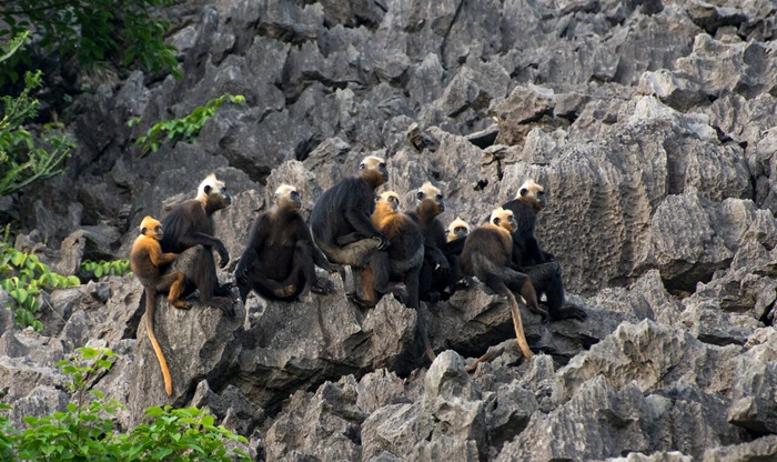 Ảnh chỉ có tính chất minh họa, nguồn internet.