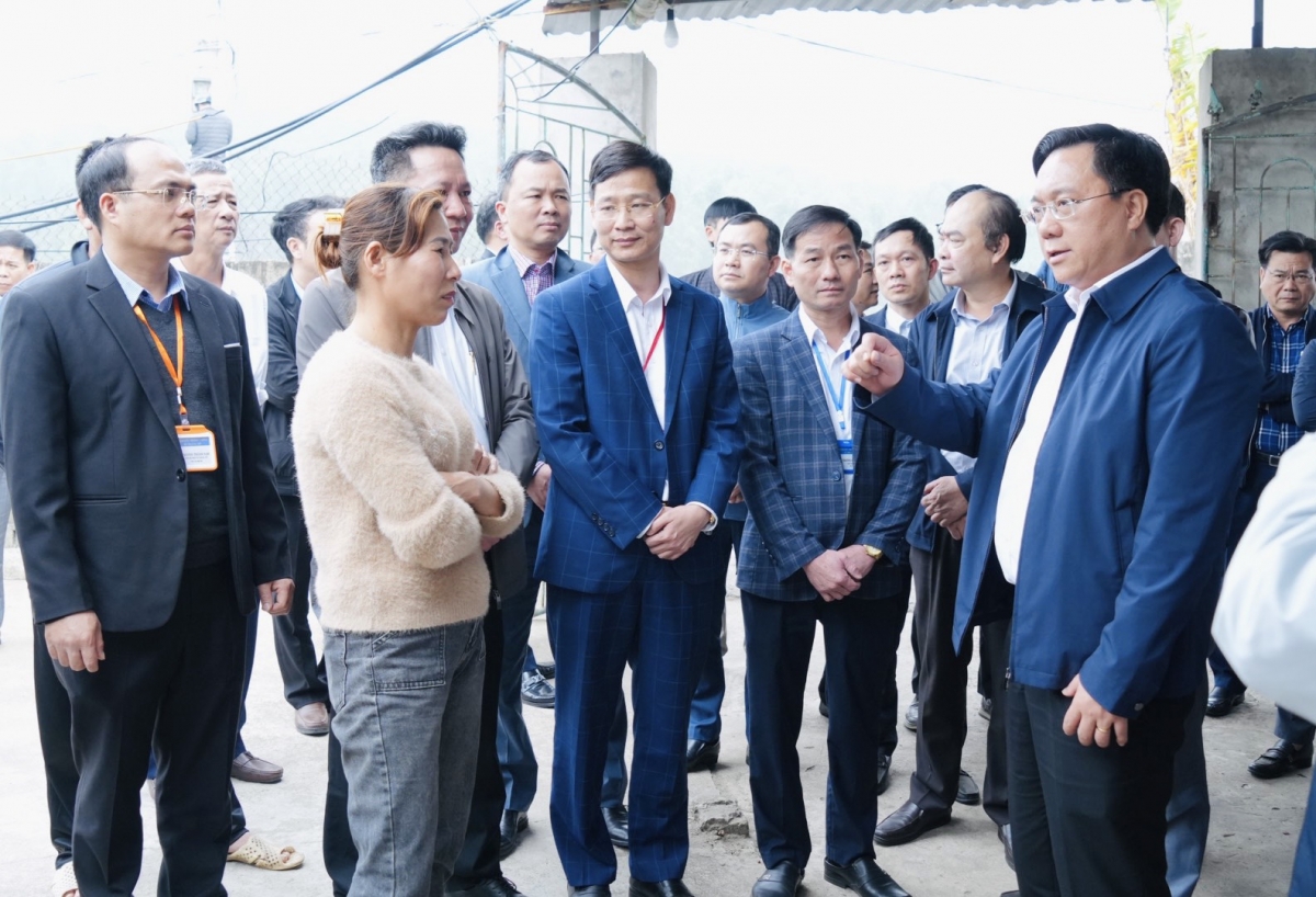 Ảnh minh họa Ảnh minh họa