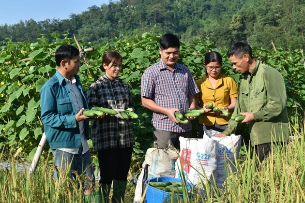 "Khuyến nông phải làm sao để người nông dân có thu nhập ổn định, nâng cao đời sống, đứng vững trước rủi ro"