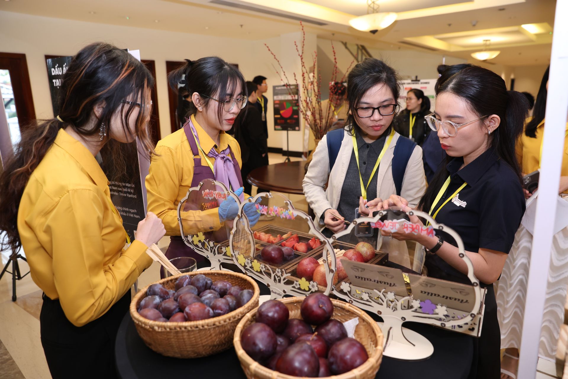 Mận Úc lần đầu ra mắt tại Việt Nam với các sự kiện đặc biệt