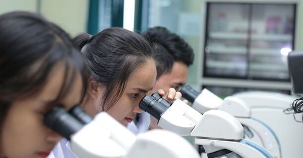 Ảnh minh họa (Nguồn: Internet)