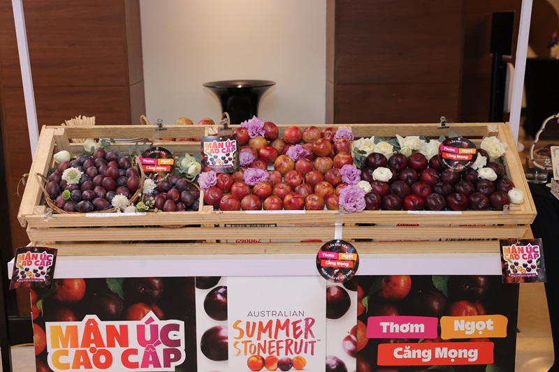 Sự đa dạng của Mận &Uacute;c đảm bảo sẽ l&agrave;m h&agrave;i l&ograve;ng ngay cả những thực kh&aacute;ch kh&oacute; t&iacute;nh nhất