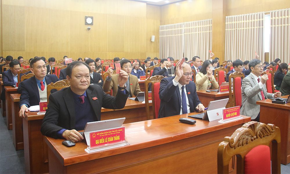 Các đại biểu biểu quyết thông qua các nghị quyết.