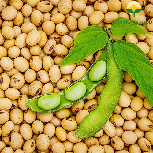 Chỉ số MXV-Index tăng thêm 0,2% lên mức 2.376 điểm - vùng cao nhất trong vòng hơn 9 tháng qua