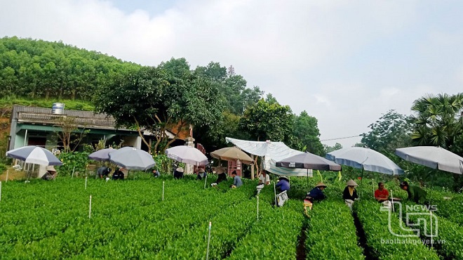 Thái Nguyên: Làng nghề truyền thống tăng trưởng, khẳng định vị thế kinh tế nông thôn