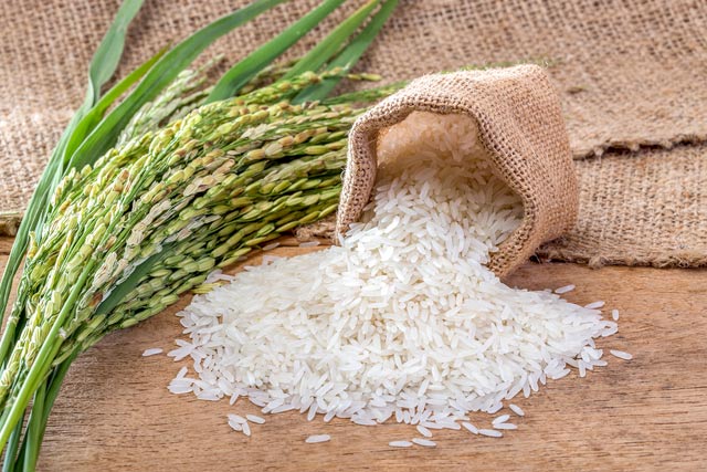 Giá lúa gạo hôm nay 23/2: Giá gạo có tăng nhẹ ở một số chủng loại